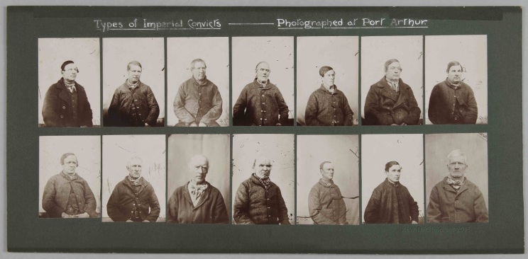Forty prints of 1870s Tasmania prisoners in three panels