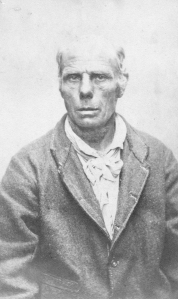 Turner, William at QVMAG