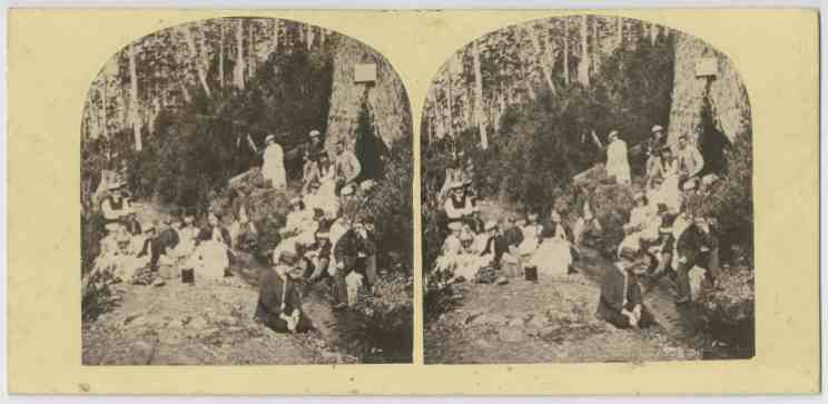 Group at Sir John Franklin's tree, Kangaroo Valley, Tasmania